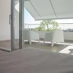 Marina Ponente